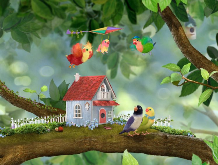bird, Birds, Animal, Nature Wallpapers HD / Desktop and Mobile Backgrounds