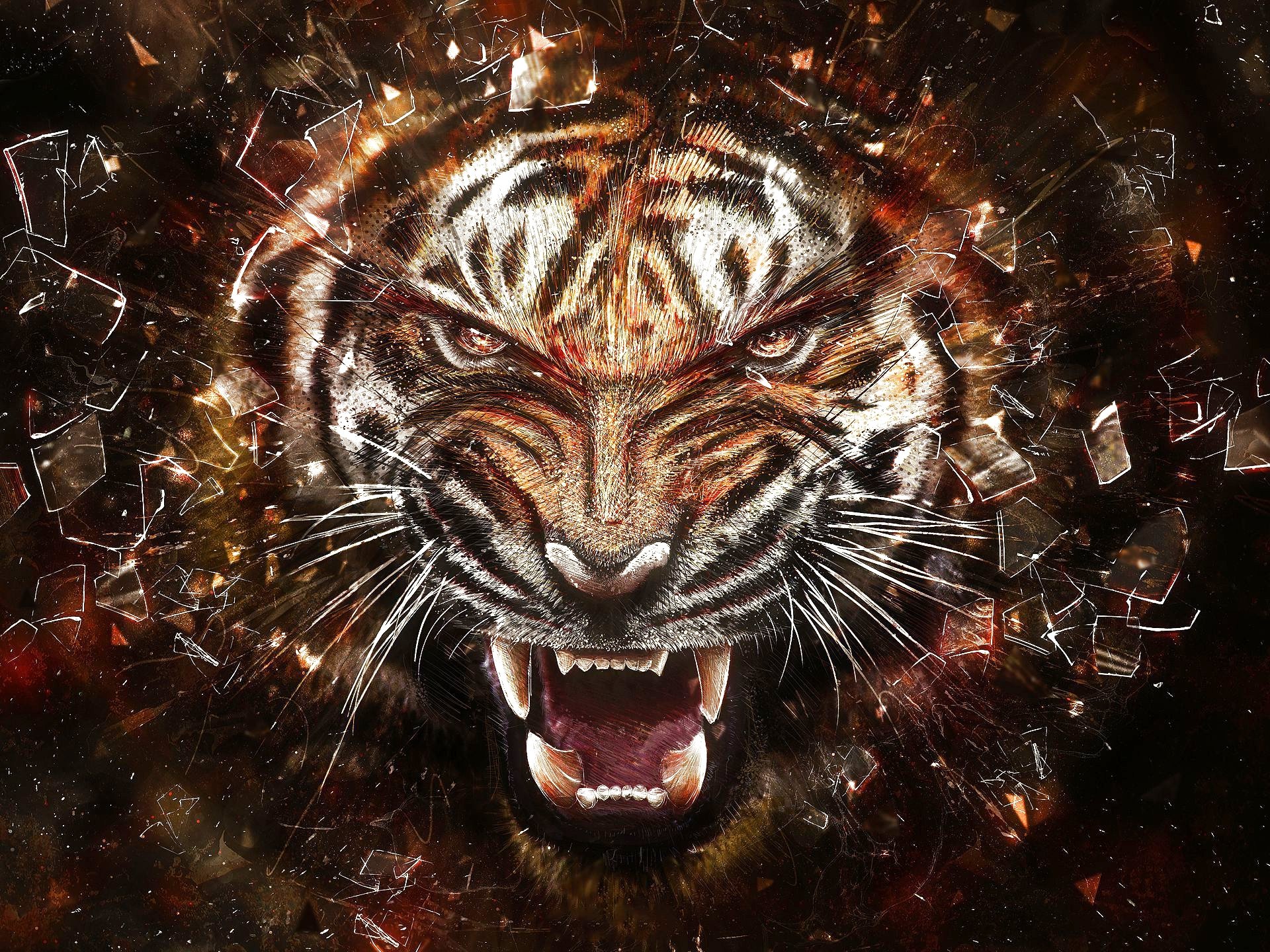tiger, Cat, Predator, Cats, Fantasy, Asian, Oriental, Nature, Jungle Wallpaper