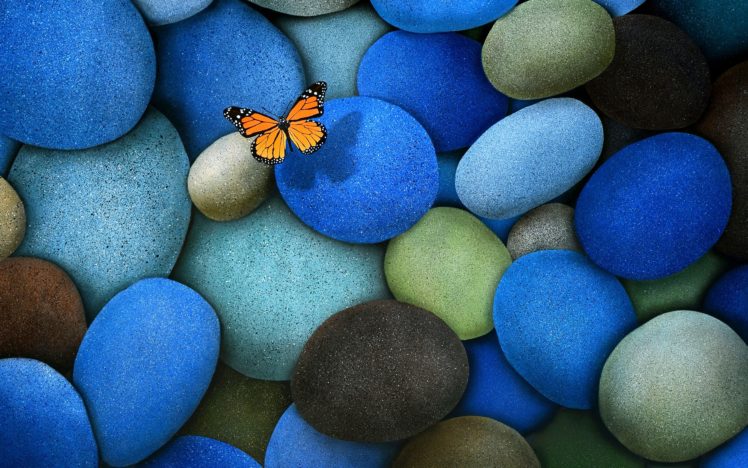 mariposa, Monarca, Piedras, Azules HD Wallpaper Desktop Background
