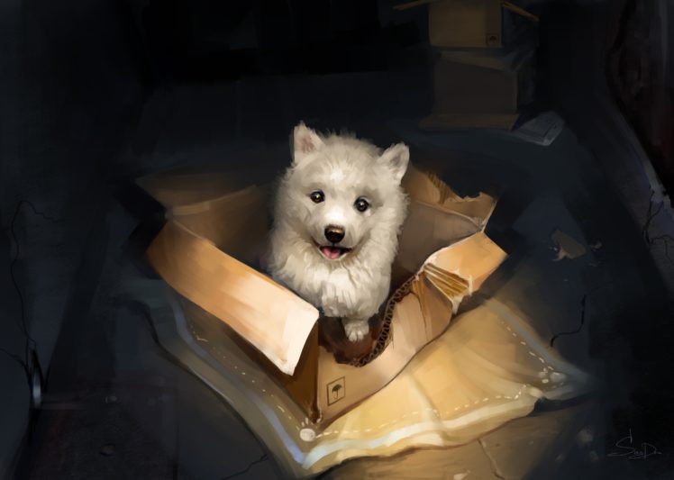puppies, Boxes, Animals, Dog, Artwork HD Wallpaper Desktop Background