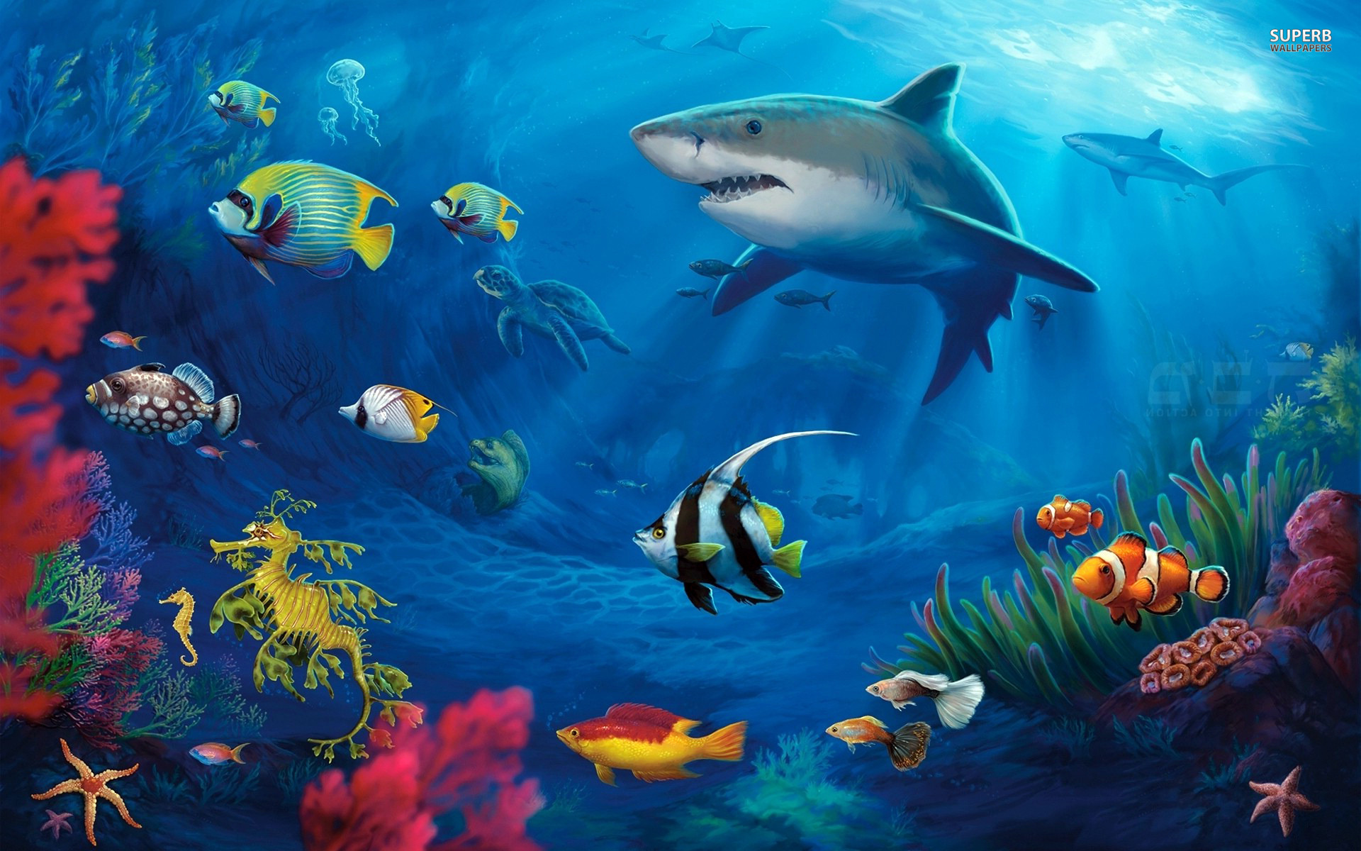 underwater, Life Wallpaper