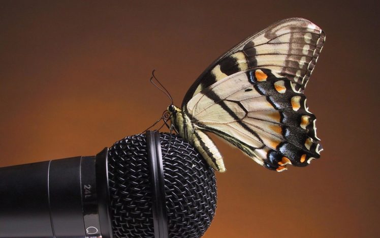 up, Butterfly, Microphones HD Wallpaper Desktop Background