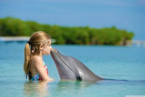 kissing, Dolphins, Friendship, Children, Sea