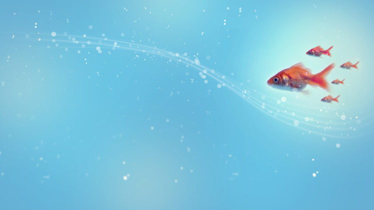 fish Wallpapers HD / Desktop and Mobile Backgrounds