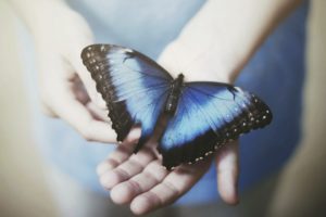 blue, Nature, Insects, Hands, Butterflies