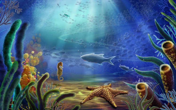 ocean, Fish, Starfish, Underwater, Sea HD Wallpaper Desktop Background