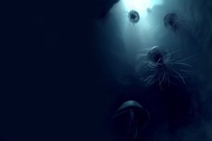 jellyfish, Underwater, Ocean, Sea, Bokeh, Jelly,  4