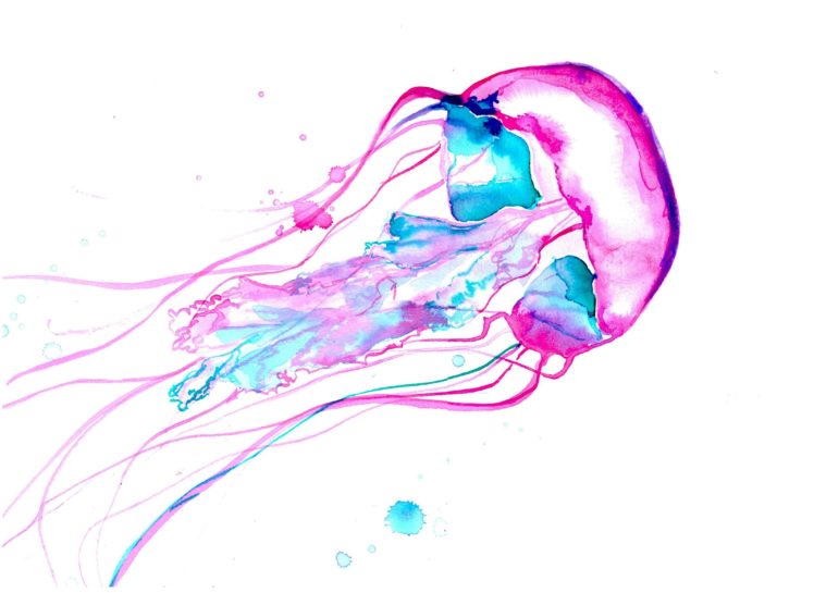 jellyfish, Underwater, Ocean, Sea, Bokeh, Jelly,  30 HD Wallpaper Desktop Background