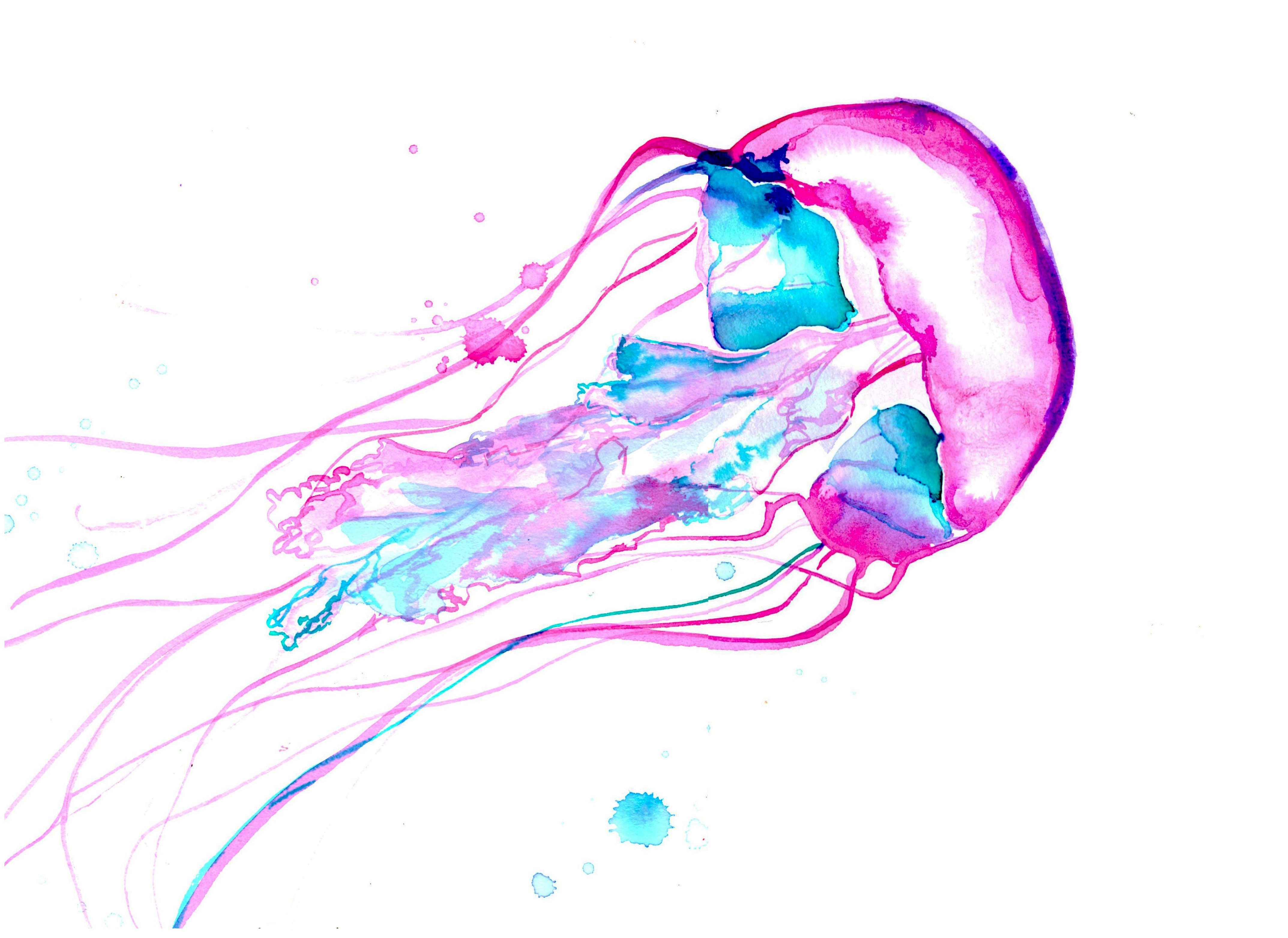 jellyfish, Underwater, Ocean, Sea, Bokeh, Jelly,  30 Wallpaper