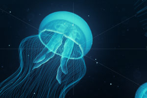 jellyfish, Underwater, Ocean, Sea, Bokeh, Jelly,  32