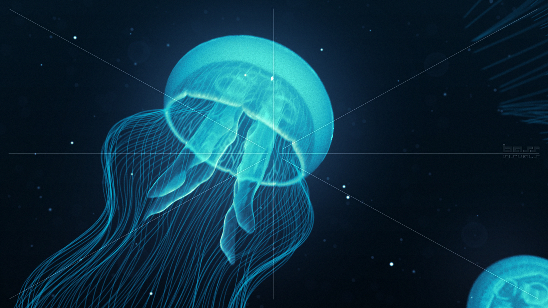 jellyfish, Underwater, Ocean, Sea, Bokeh, Jelly,  32 Wallpaper