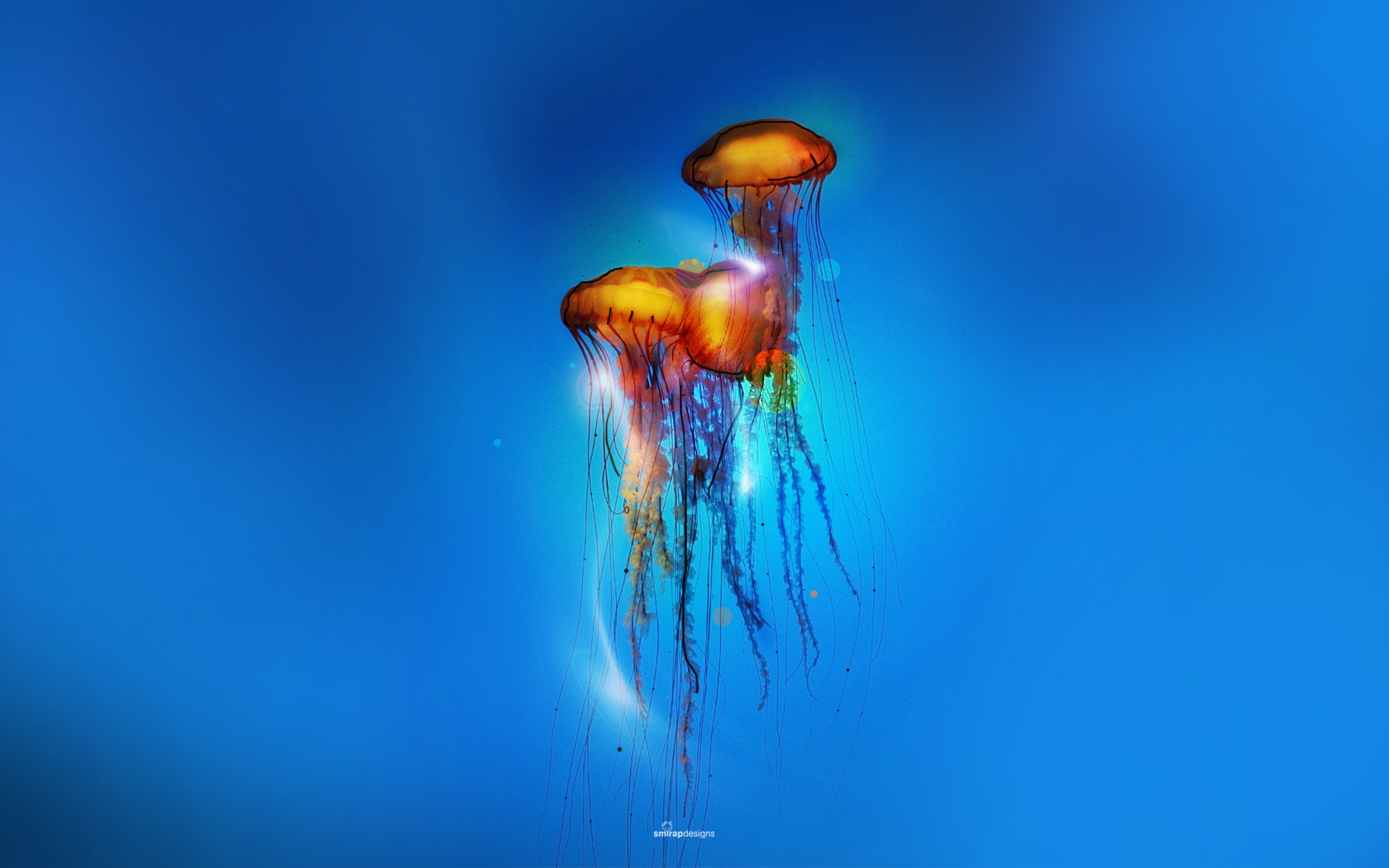 jellyfish, Underwater, Ocean, Sea, Bokeh, Jelly,  43 Wallpaper