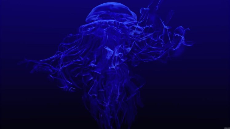 jellyfish, Underwater, Ocean, Sea, Bokeh, Jelly,  53 HD Wallpaper Desktop Background