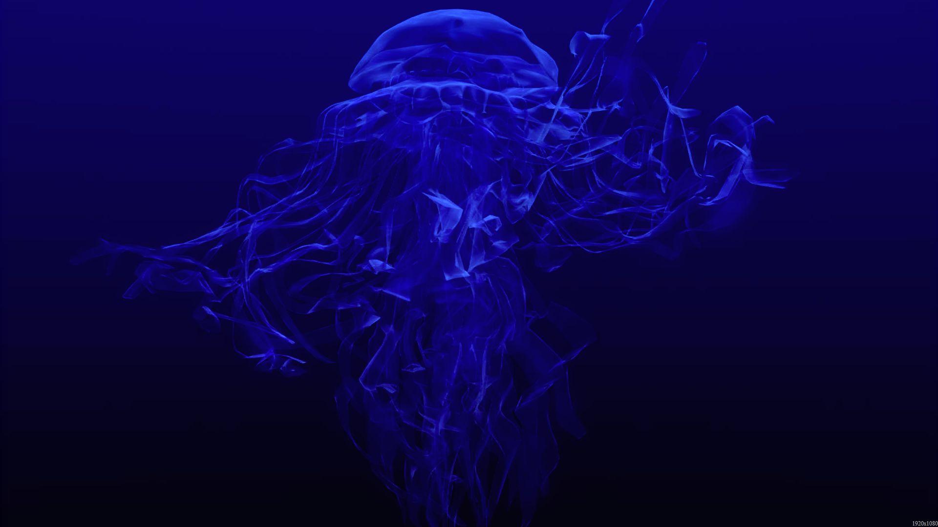 jellyfish, Underwater, Ocean, Sea, Bokeh, Jelly,  53 Wallpaper