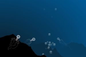 jellyfish, Underwater, Ocean, Sea, Bokeh, Jelly,  58