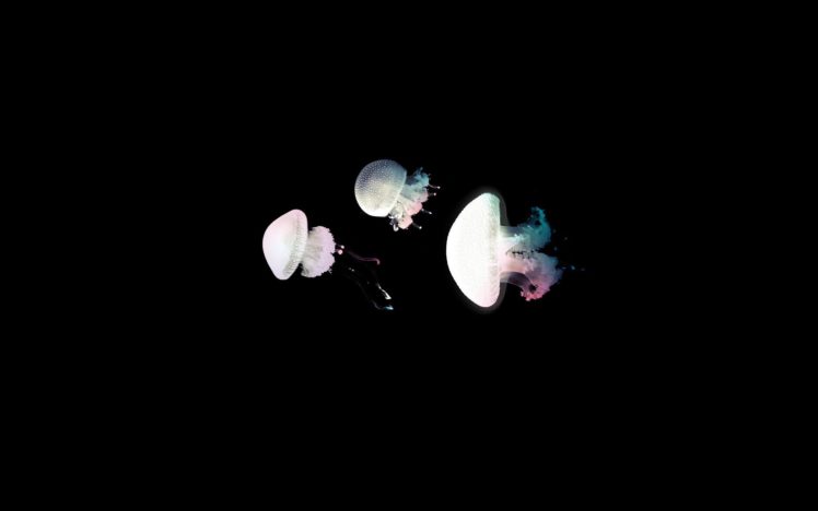 jellyfish, Underwater, Ocean, Sea, Bokeh, Jelly,  60 HD Wallpaper Desktop Background