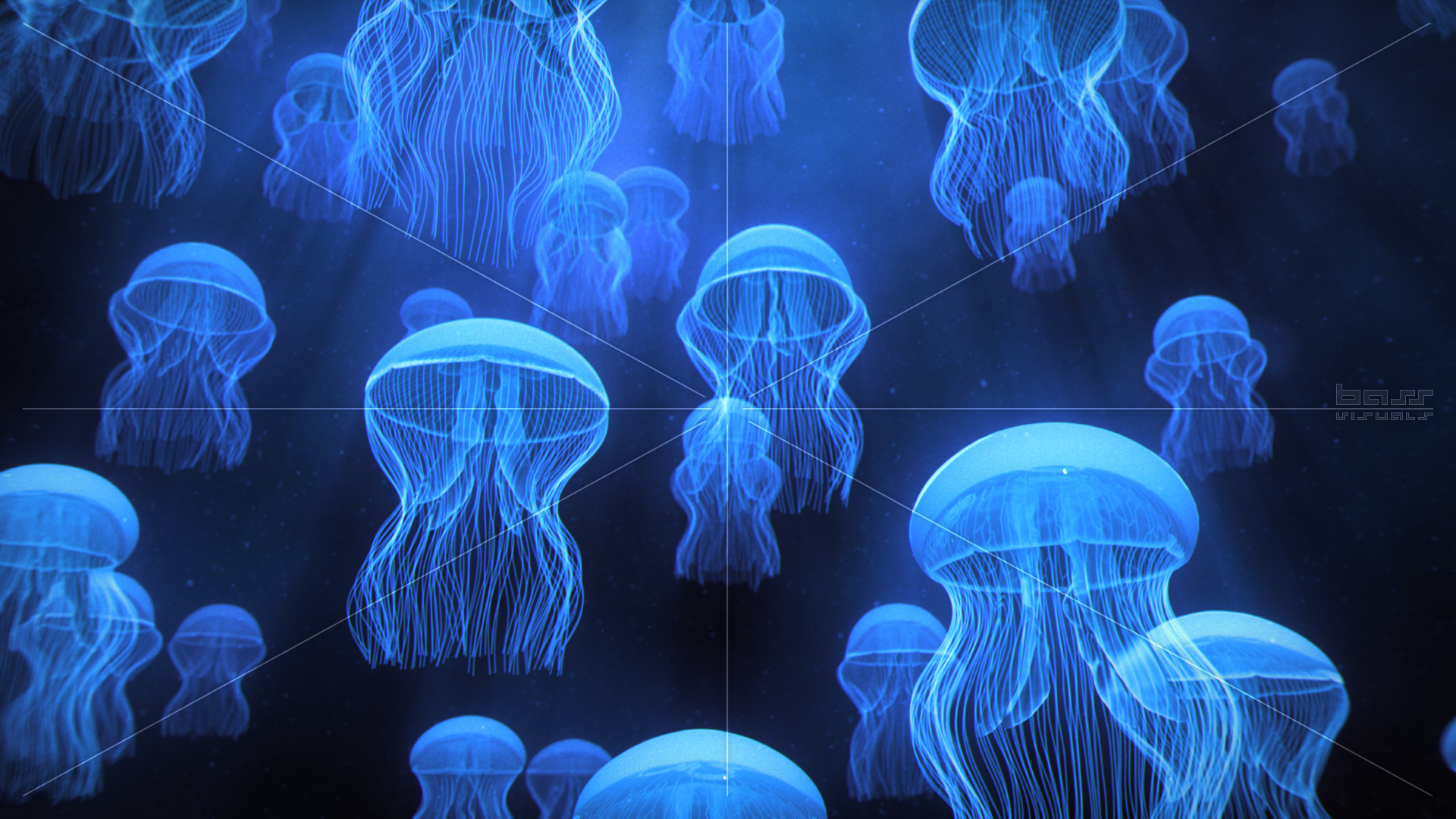 jellyfish, Underwater, Ocean, Sea, Bokeh, Jelly,  88 Wallpaper