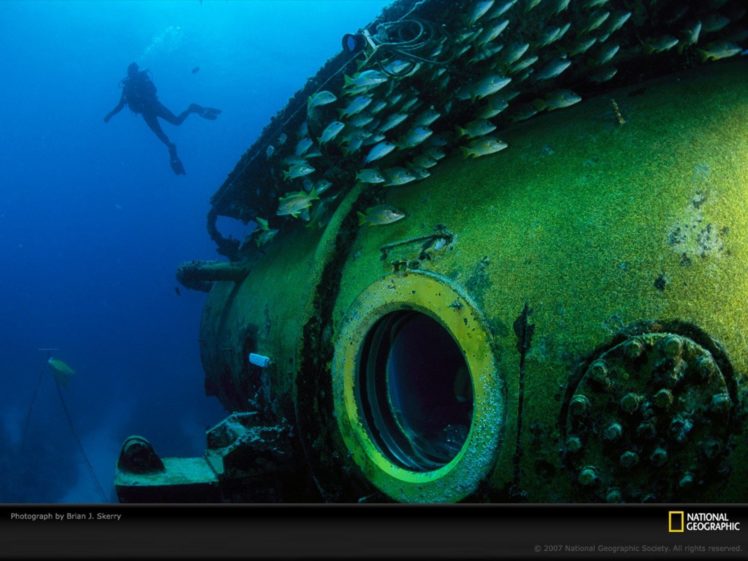 animals, National, Geographic, Underwater, Fishes HD Wallpaper Desktop Background