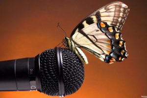 animals, Microphones, Butterflies