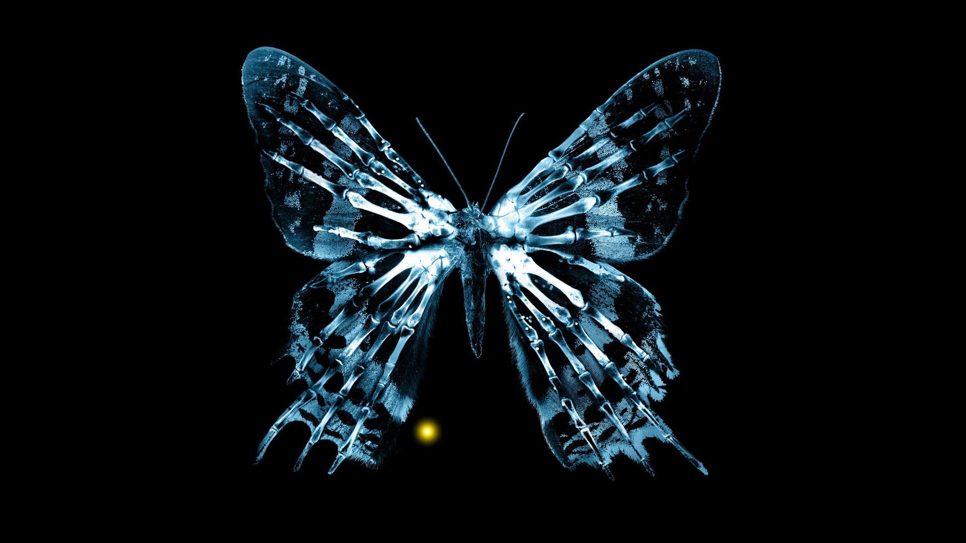 fringe, Butterflies Wallpaper