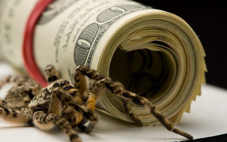 money, Spiders, Dollars HD Wallpaper Desktop Background