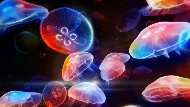 animals, Fishes, Jellyfish, Underwater, Bubbles, Color, Bright, Psychedelic, Ocean, Sea, Water, Manipulation, Cg, Digital, Art, Sealife, Life HD Wallpaper Desktop Background