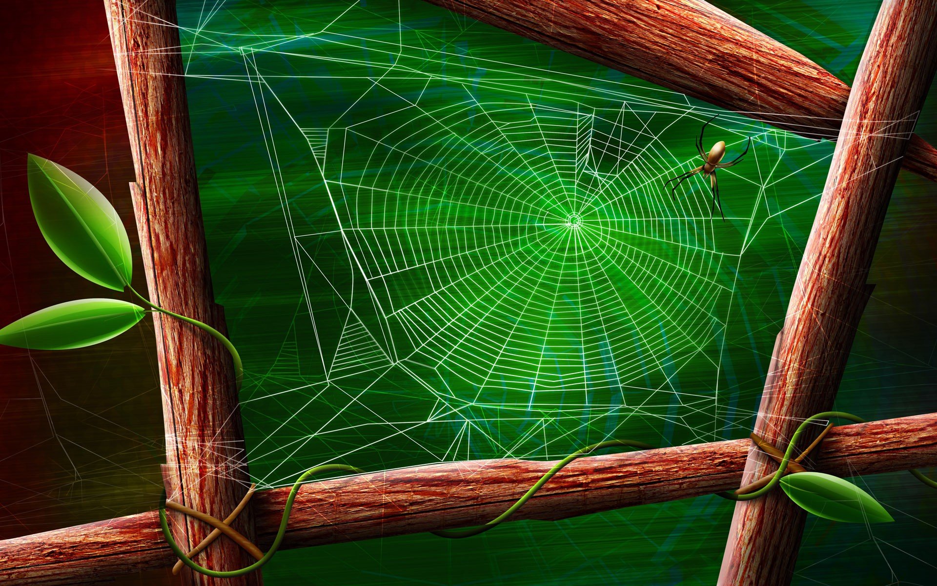 spider, Webs Wallpaper