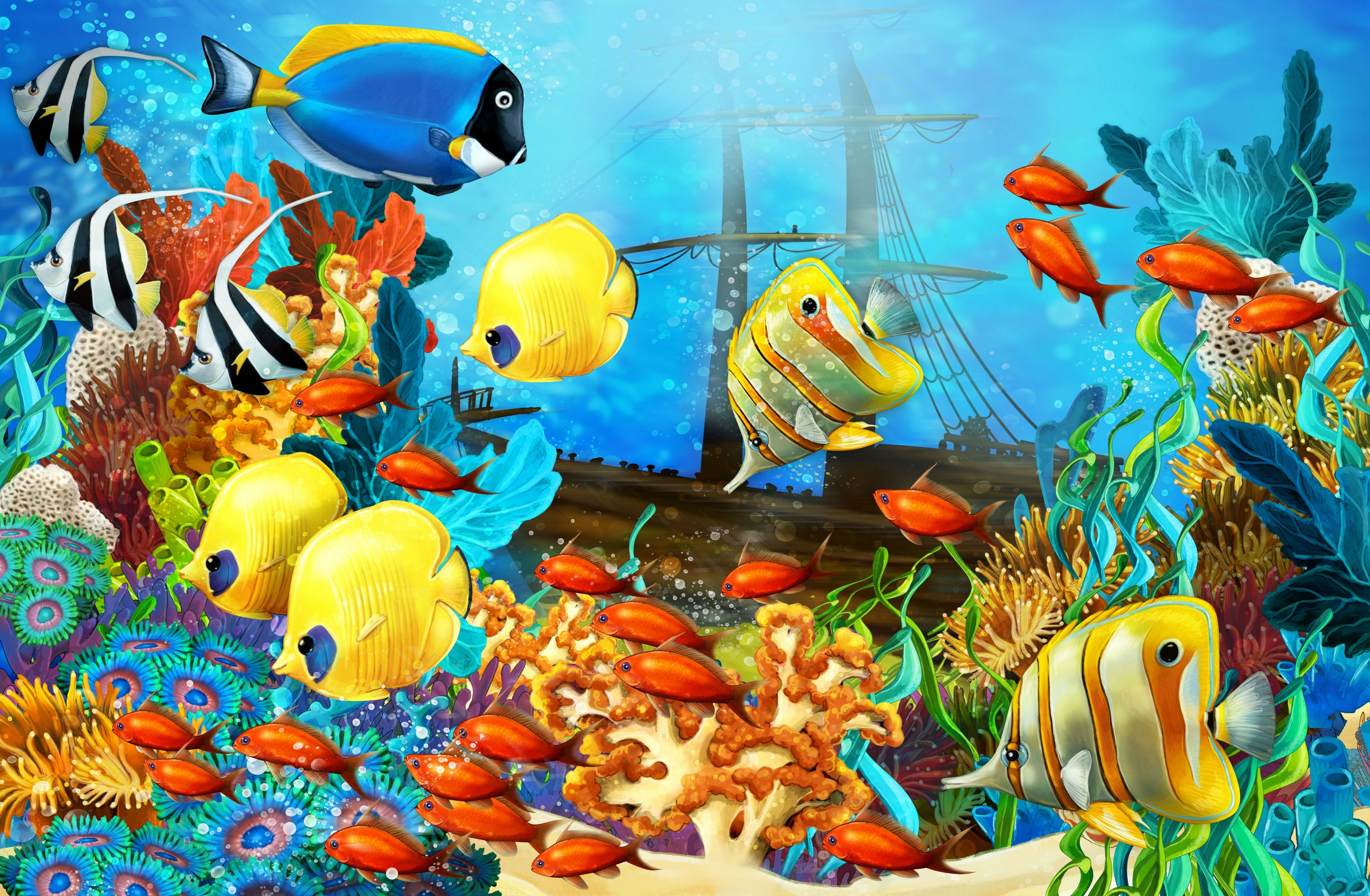 fish, Corals, Underwater, Ocean, Tropical, Sea Wallpaper