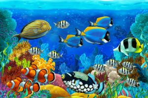 sea, Seabed, Fish, Corals, Underwater, Ocean, Tropical