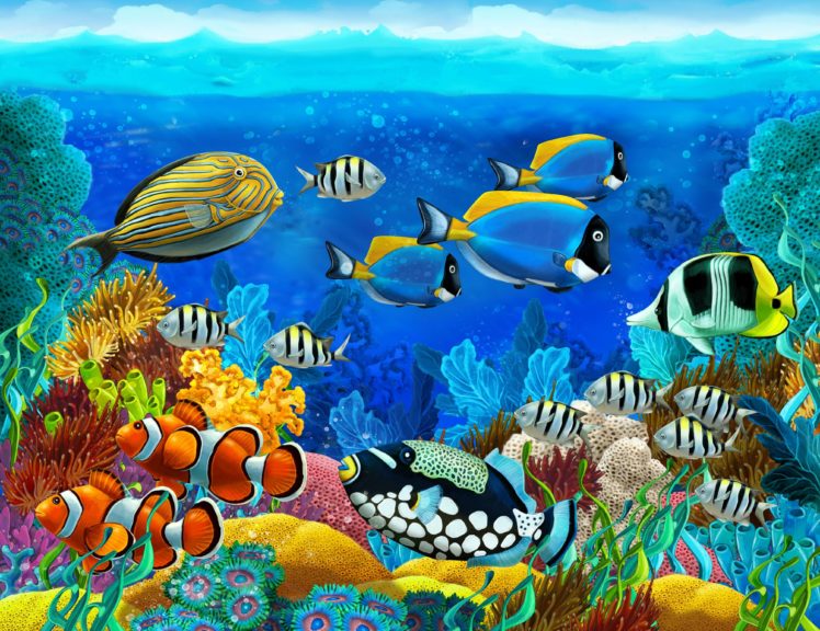 sea, Seabed, Fish, Corals, Underwater, Ocean, Tropical HD Wallpaper Desktop Background
