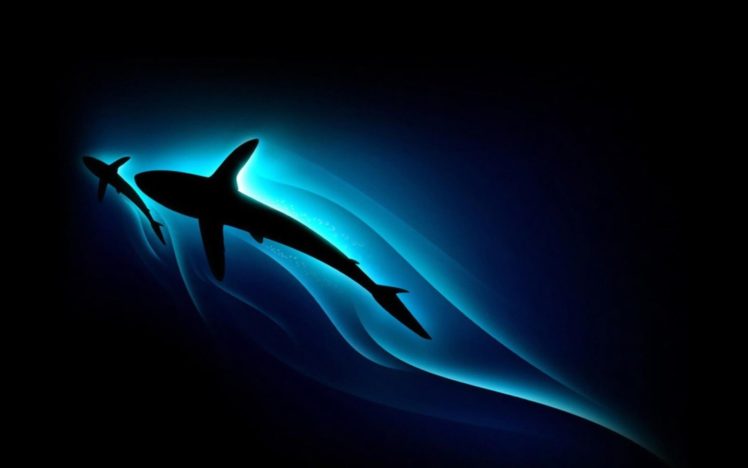 animals, Glowing, Sharks, Black, Background HD Wallpaper Desktop Background