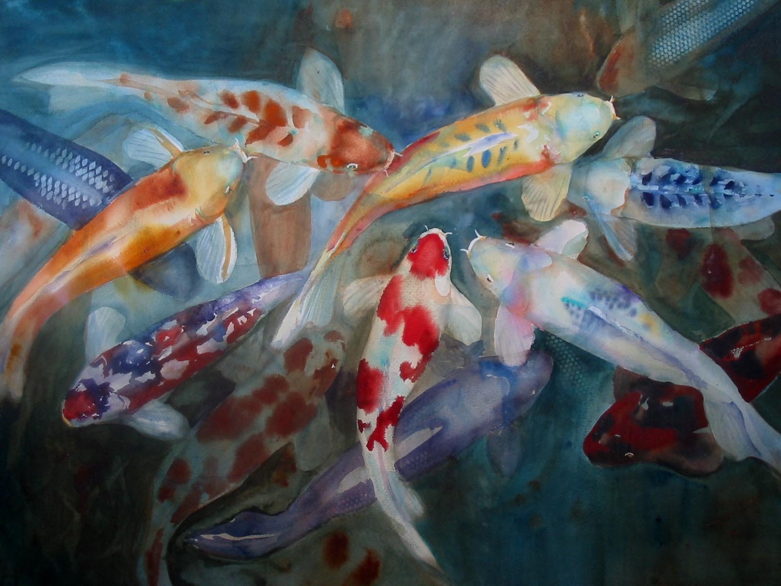 fish, Koi, Watercolor Wallpaper