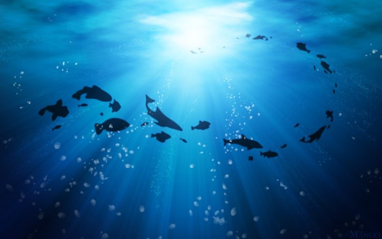 water, Ocean, Fish, Silhouettes HD Wallpaper Desktop Background