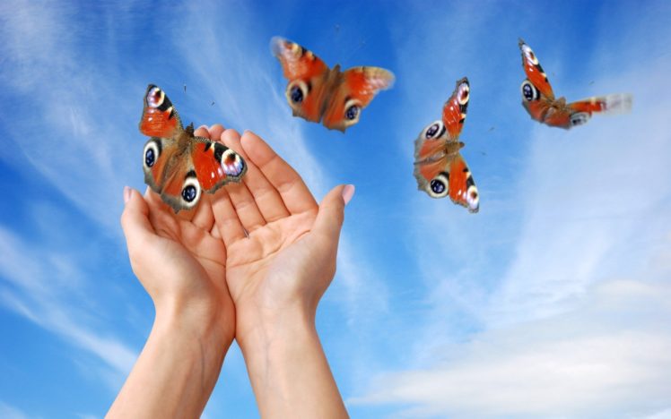 hands, Skyscapes, Butterfly, Wings, Butterflies HD Wallpaper Desktop Background