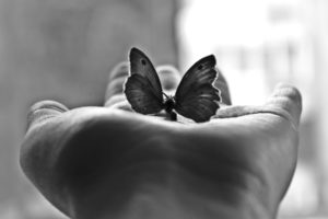 butterfly, Mood, Hand, Black, White, Window, Light