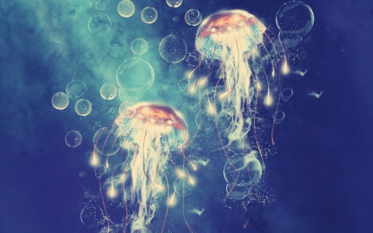 jellyfish, Digital, Art, Cg, Underwater, Ocean, Sea, Bubbles HD Wallpaper Desktop Background