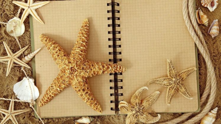 starfish, Ocean, Sea, Sealife, Fish, Bokeh HD Wallpaper Desktop Background