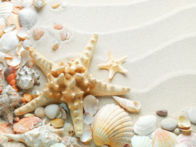 starfish, Ocean, Sea, Sealife, Fish, Bokeh HD Wallpaper Desktop Background