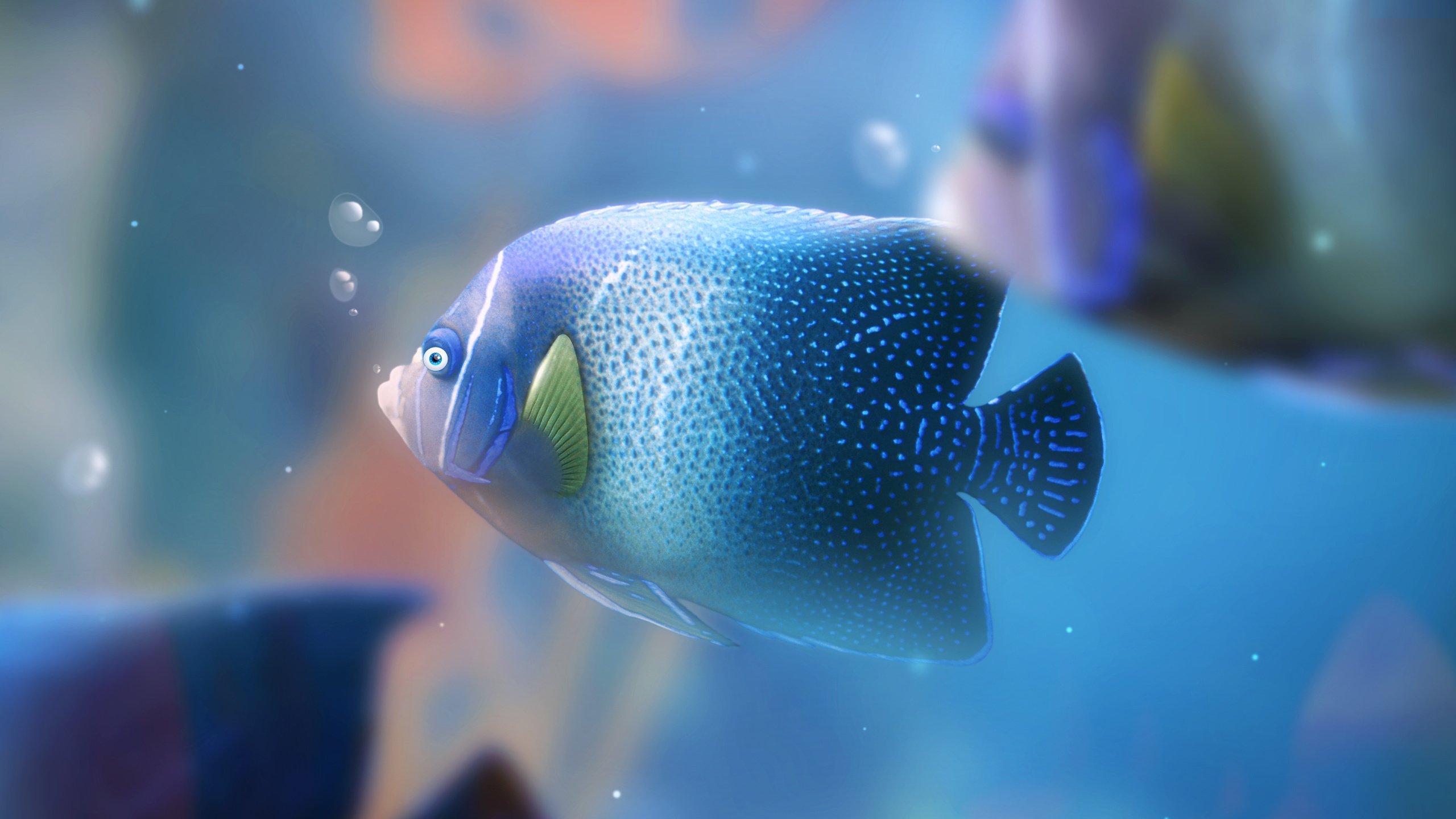 fish, Aquarium, Bubbles Wallpaper