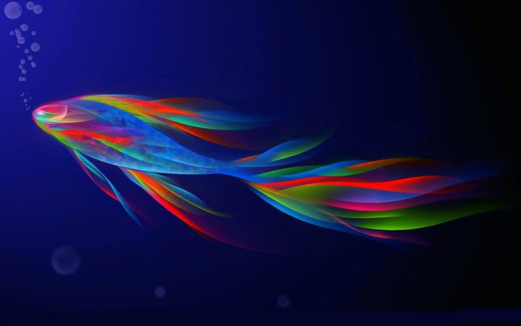 rainbowfish, Tropical, Fish HD Wallpaper Desktop Background