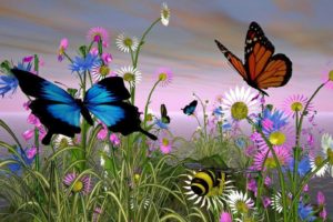 butterflies, And, Flowers, And, Bumble, Bee