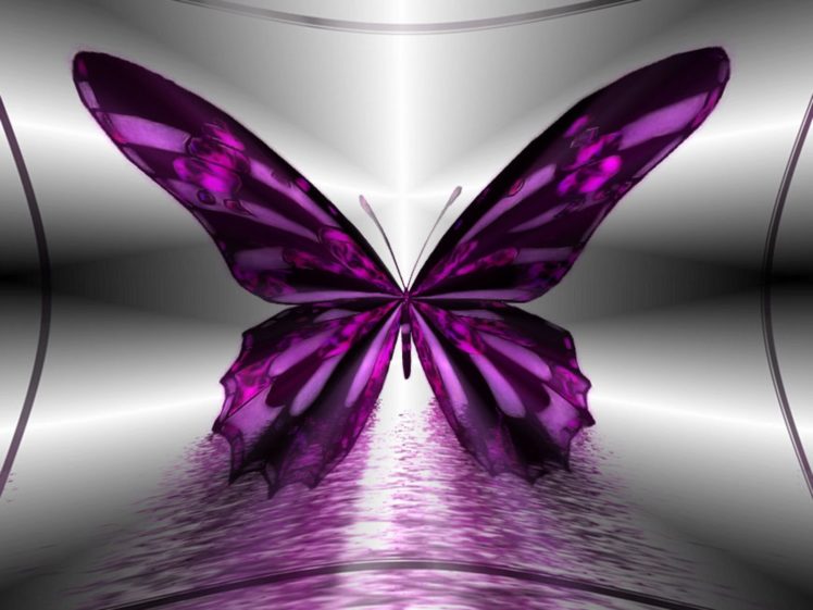 purple, Butterfly HD Wallpaper Desktop Background