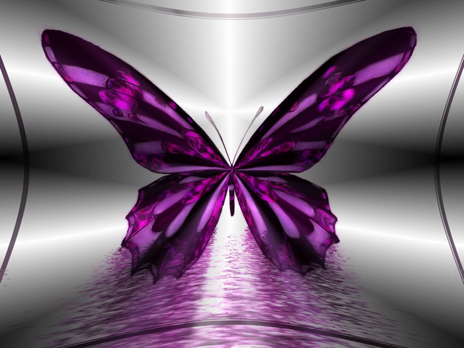 purple, Butterfly Wallpaper