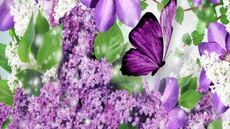 purple, Flowers, And, Purple, Butterfly HD Wallpaper Desktop Background
