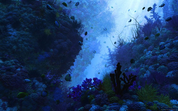 3d, Underwater, Rendering HD Wallpaper Desktop Background