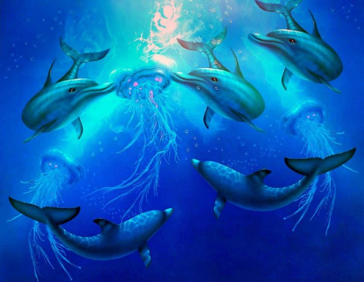 dolphins jellyfishes lovely love HD Wallpaper Desktop Background