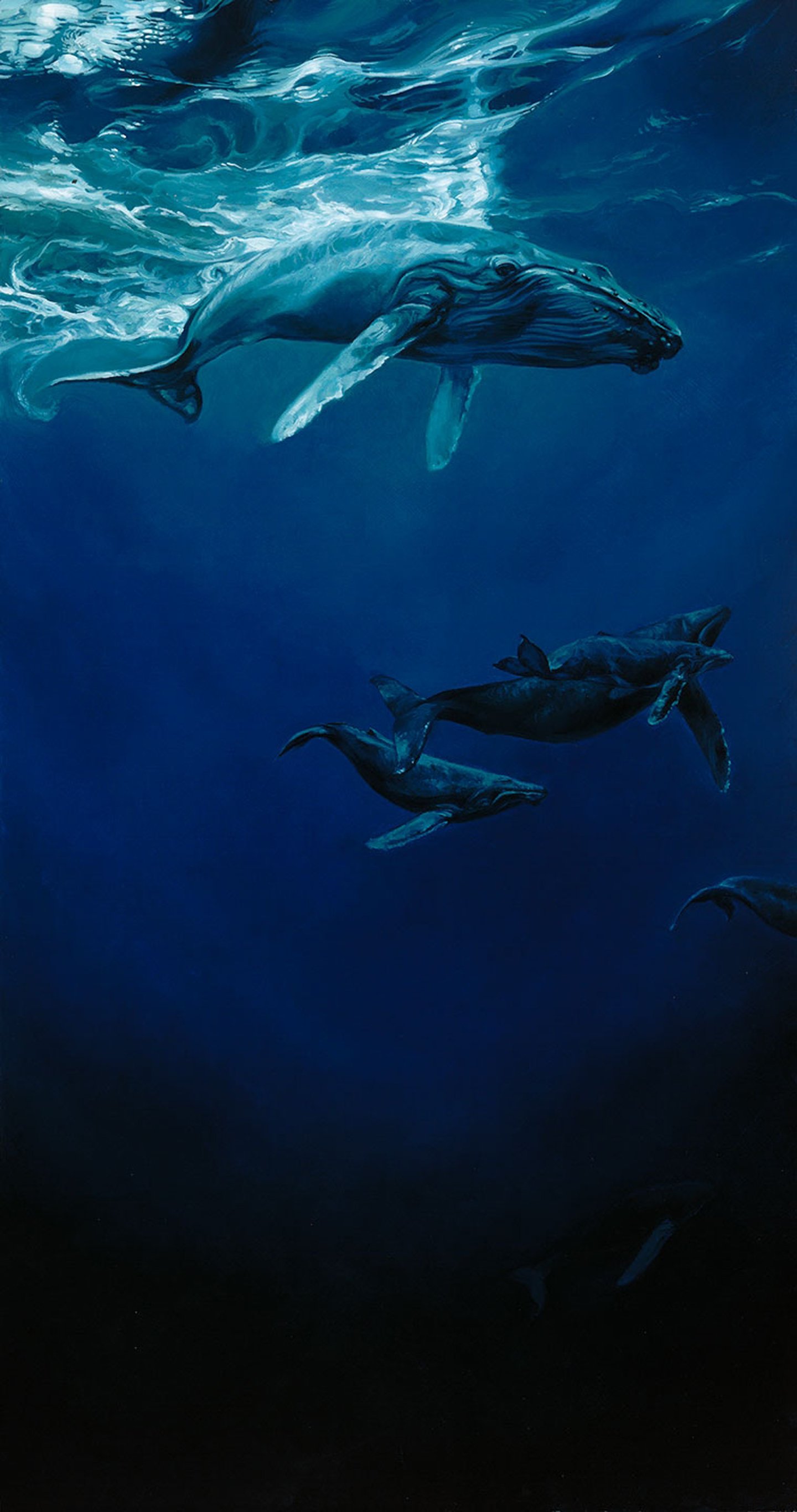 ocean, Animal, Cute, Blue, Deep, Whale Wallpapers HD