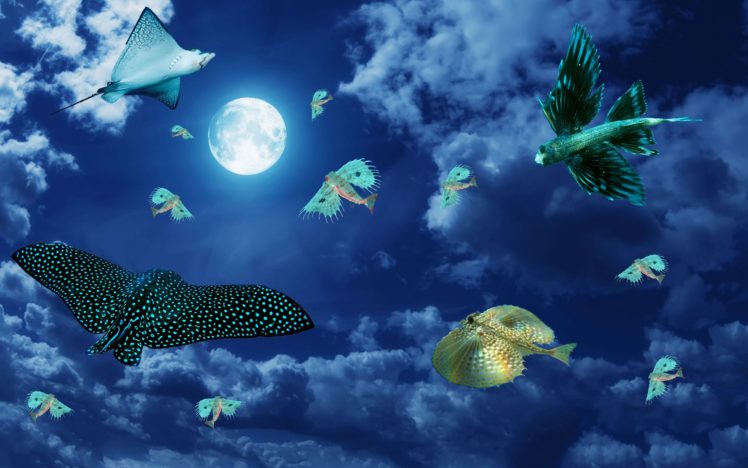 fish, Fishes, Photoshop, Psychedelic, Moon, Art, Artwork HD Wallpaper Desktop Background