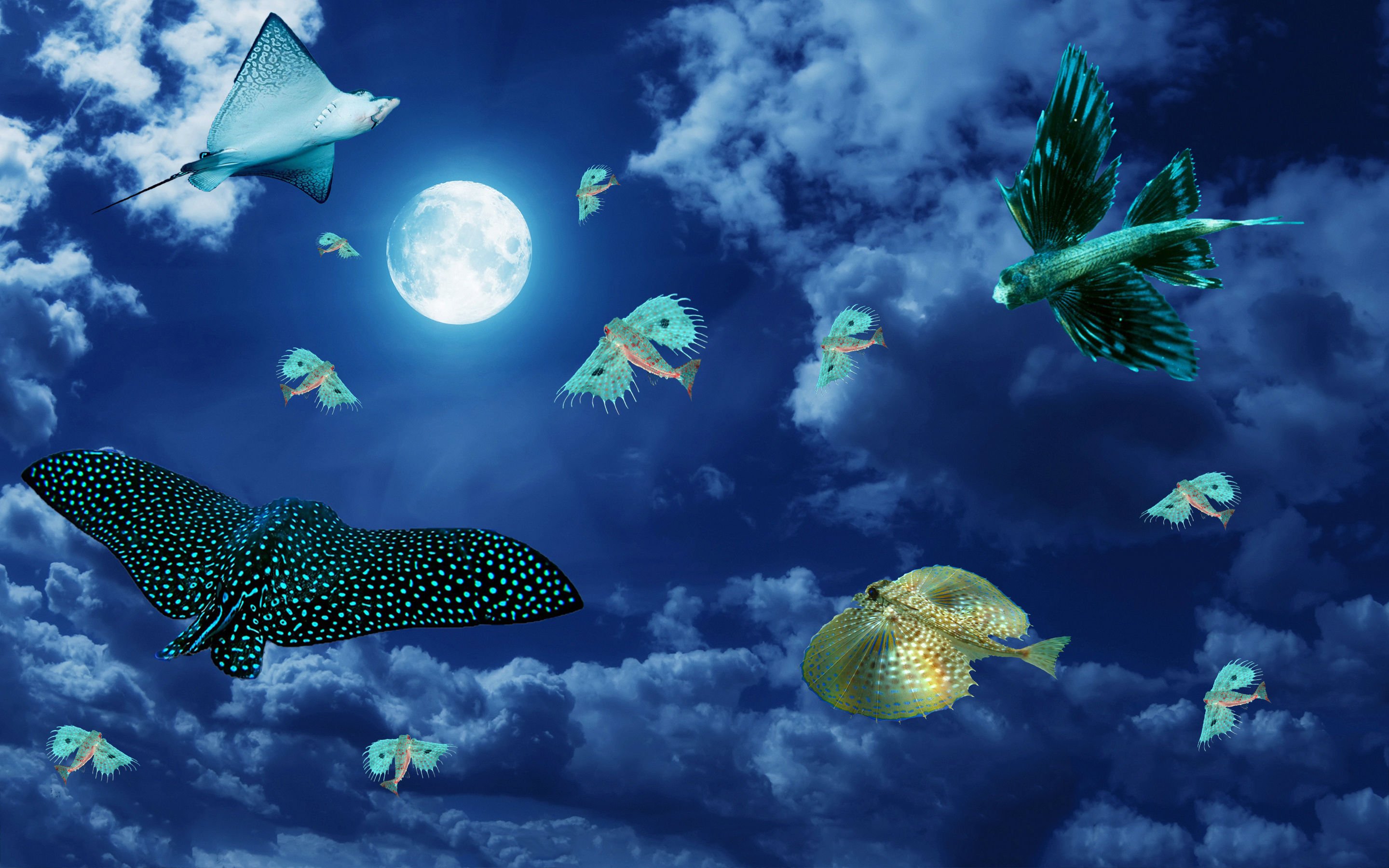 fish, Fishes, Photoshop, Psychedelic, Moon, Art, Artwork Wallpaper