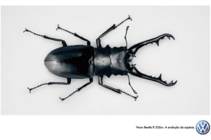 volkswagon, Beetle, Bug